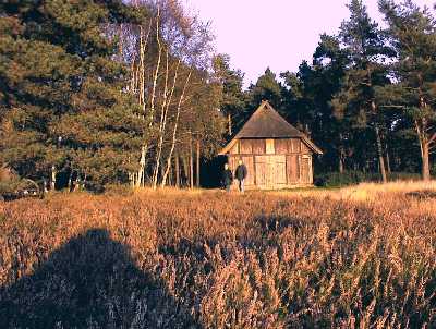 Krelingen Schafstall Heide