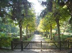 Bild vergrößern: Friedhof Bockhorn