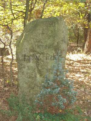 Bild vergr��ern: Gedenkstein im Wald mit der Inschrift �Hier ruht Ludwig Rahlfs�, teilweise von einer kleinen Tanne verdeckt.